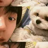 yiasuchae