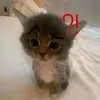 aaa.aa_1953472187713