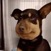 teenlafthafnh