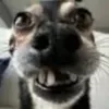 _clarkyfn
