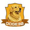 doge3.0