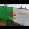 medjahdimedjahdi