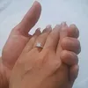 ccccauba