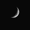 ali_hamza_1358