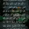 mhamad32859