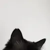vllny7
