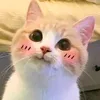 ggty_76