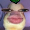 _dilaoooooo