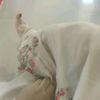 jannatul_najat