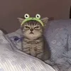 jzsslouise