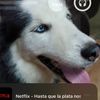 terryismybeibi