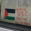 www.free_palestine