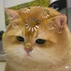 xeethinhs