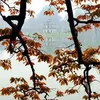 otohui.com