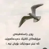 mhamadbarzan_