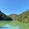 lau_khong_toi