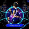 rebaz.gayming