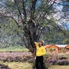 kusaennguyenthaou