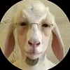 sladiy_bublik