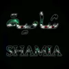 bayan.syr.20