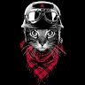 edwin_stark