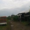 tokeayam04