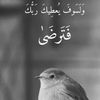 fatmah_134