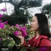 hongxu100490