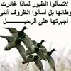 useren4e9knlxy