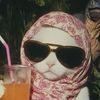 noura7729