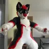 proton_p