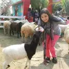 user03208621