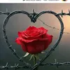 user7709706295568