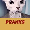 citizencatprank777