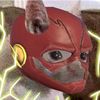 trickedjester