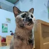 user51p9wetjh8