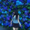 nyc_osaigon
