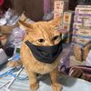 cat20bahtshop
