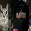 1vampqus