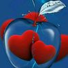 haris3401