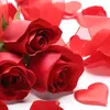 rehana3075