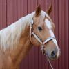 elawodihorsefarm