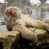 moses_j2023