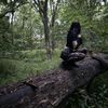 wanderingwcoast