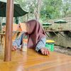 _syah918