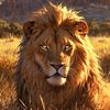 user7r3v9kyuyi