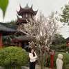 _nhan75