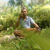 kokok.montiredan