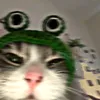 hnnhth_