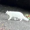 gmpmwpmpmpmgmpmg